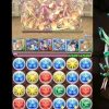 【パズドラ】強くて可愛いメリディオナリスでソロ「極限の闘技場1」をサクっとクリア！