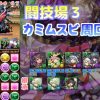 【パズドラ】極限の闘技場3周回はカミムスビで決定！公認ぱぷりかさんが7分半でクリア！