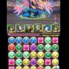 【パズドラ】リィ継承のルシャナでソロ「裏・極限の闘技場」をそれなりに安定してクリア！