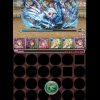 【パズドラ】究極分岐した闇カーリーがHPが高く安定して強い！「極限の闘技場3」もクリア！